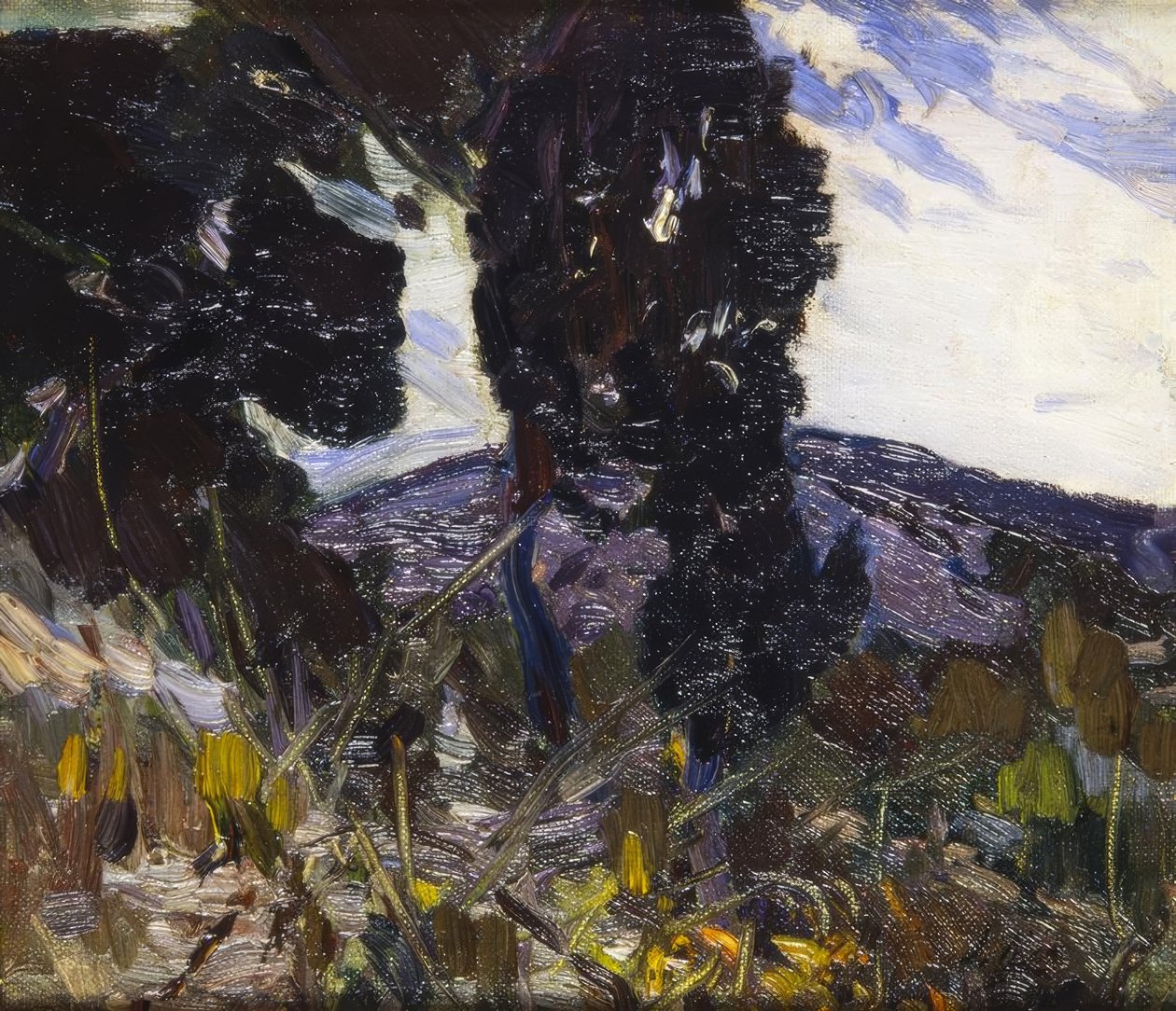 景观 作者 Joaquim Mir i Trinxet