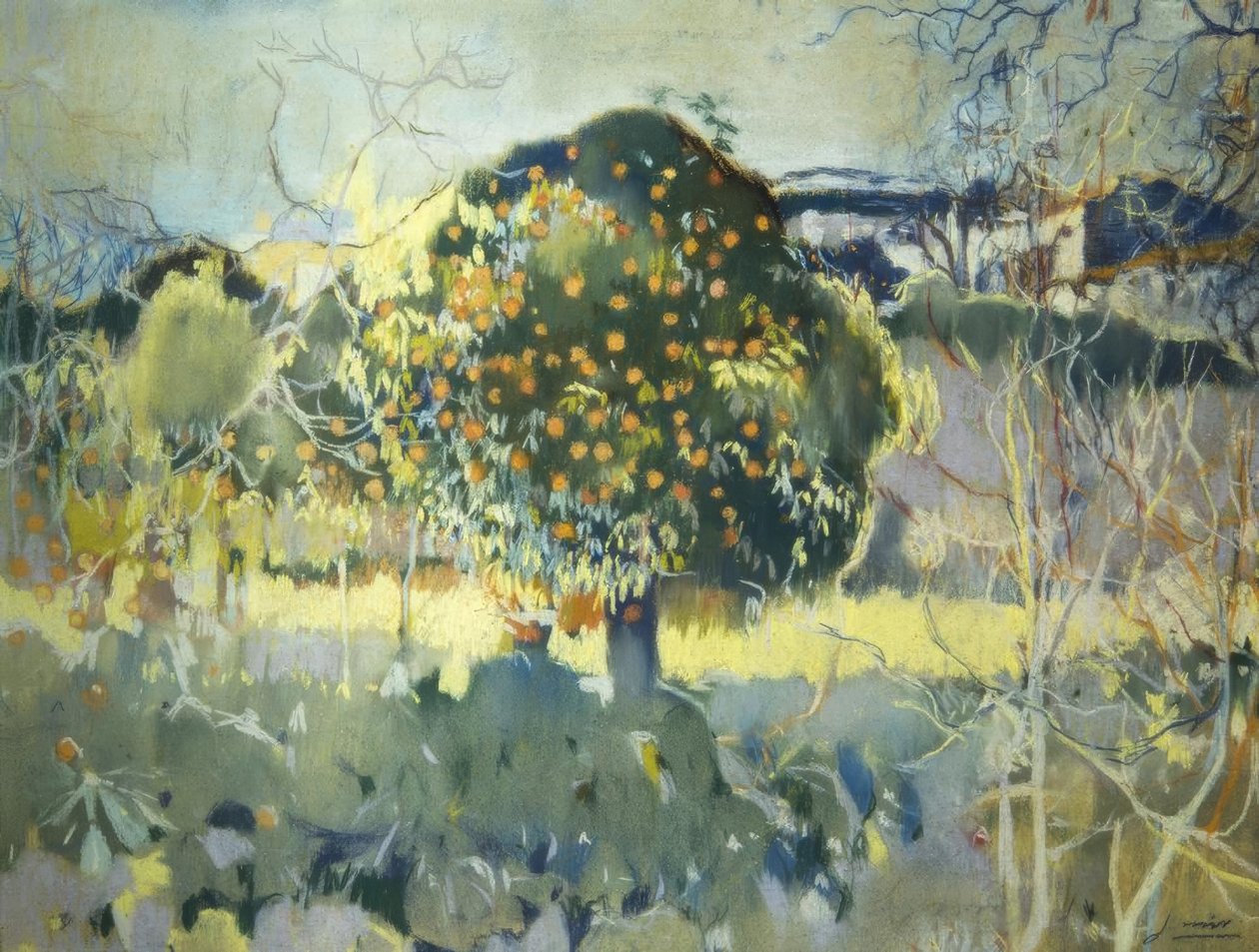 景观 作者 Joaquim Mir i Trinxet