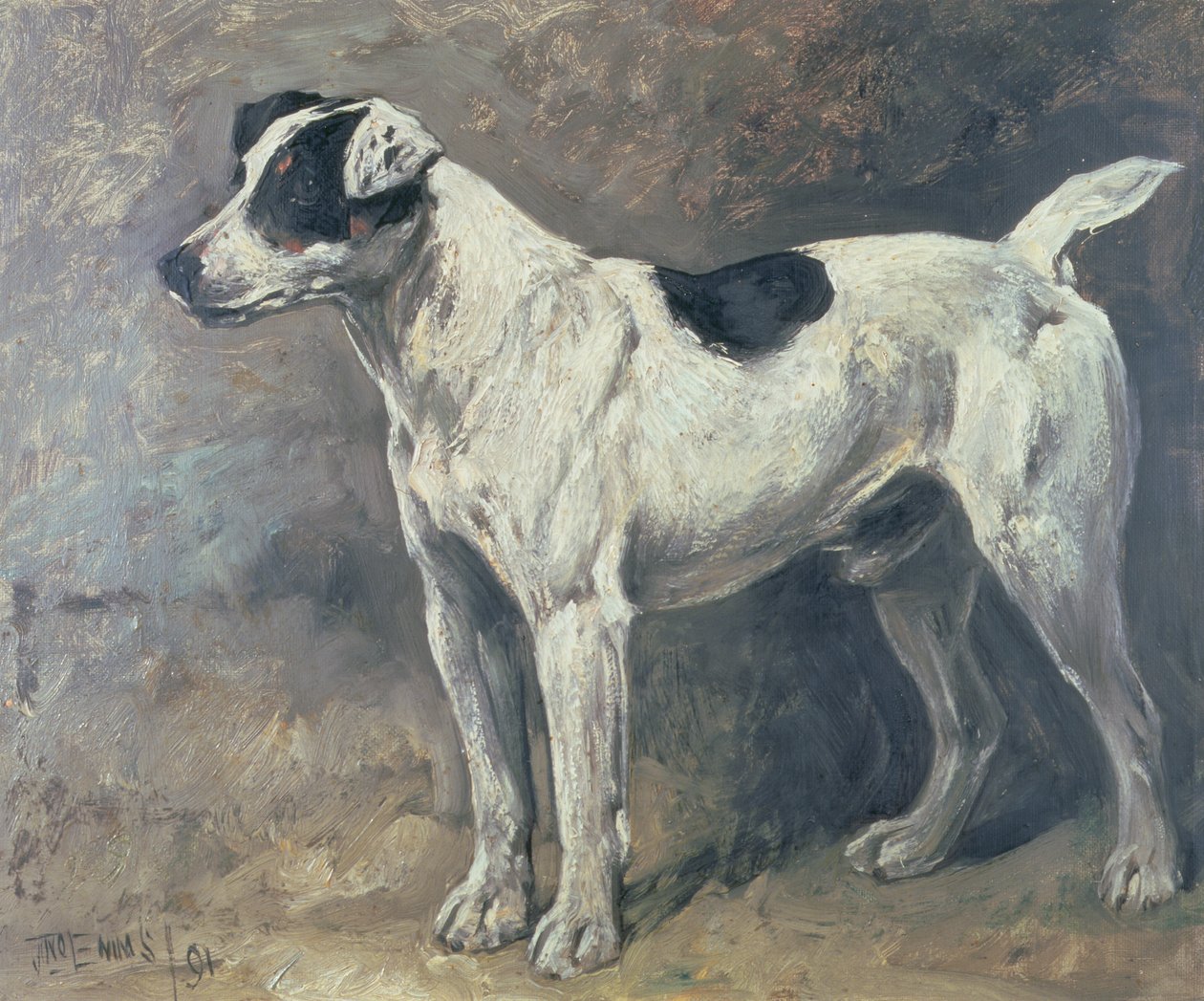 杰克罗素，1891年 作者 约翰·艾姆斯