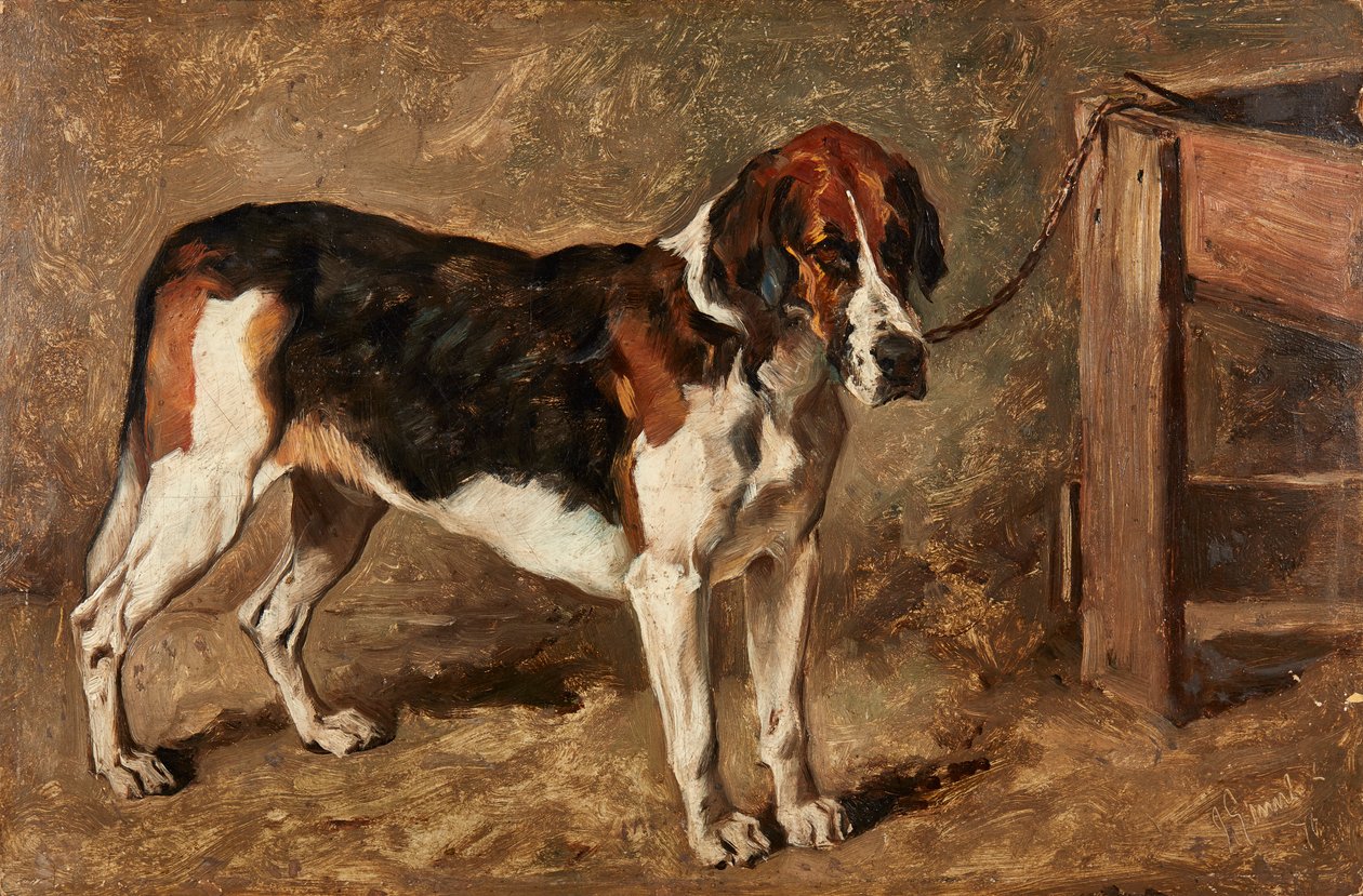 猎犬研究（板上油画） 作者 约翰·艾姆斯