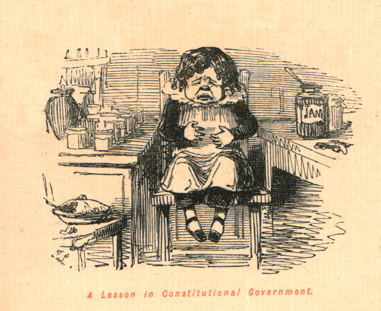 1897年的宪政课程。 作者 约翰·里奇