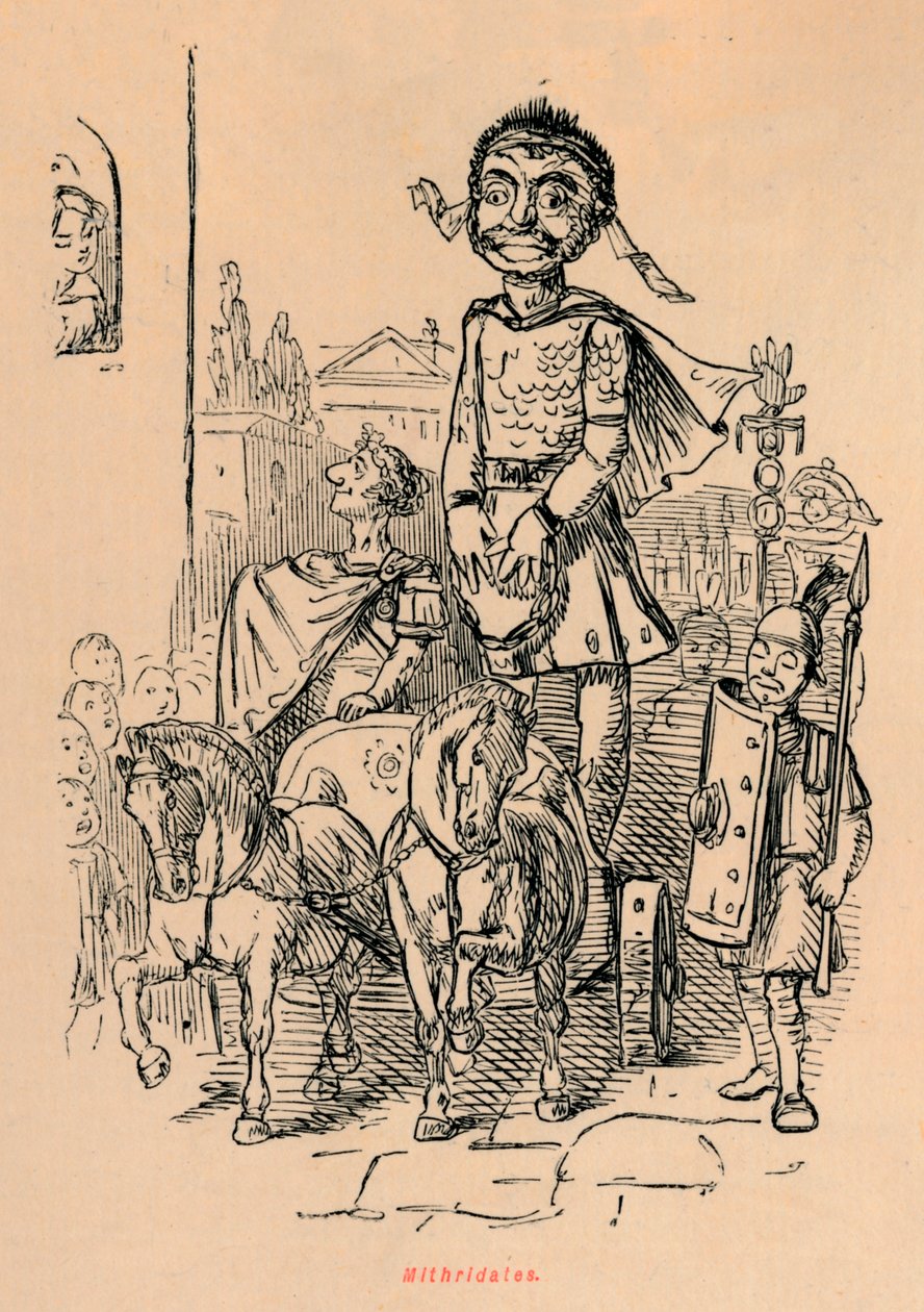 秘甲酸酯，1852年 作者 约翰·里奇