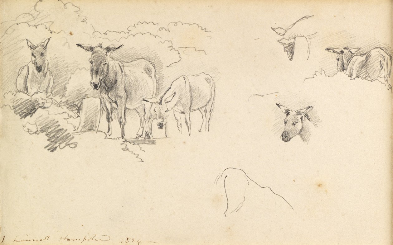 驴，1824年 作者 约翰·林内尔