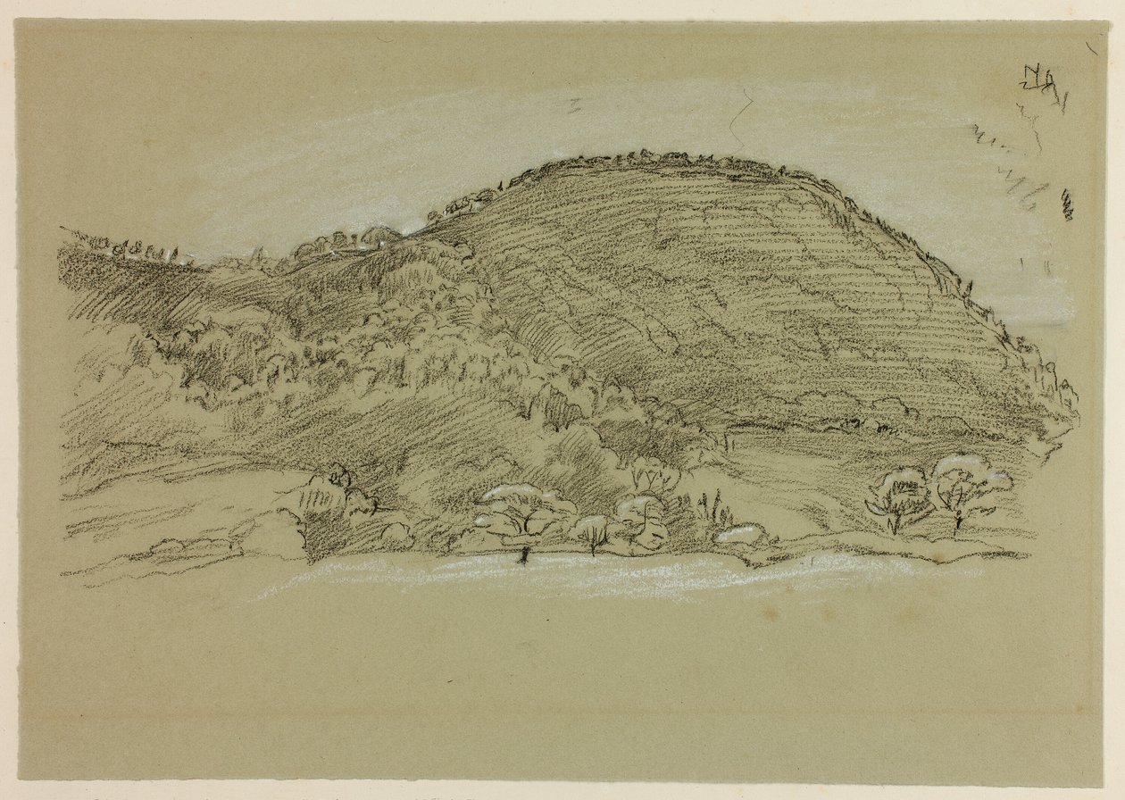 漫步田野 作者 约翰·林内尔