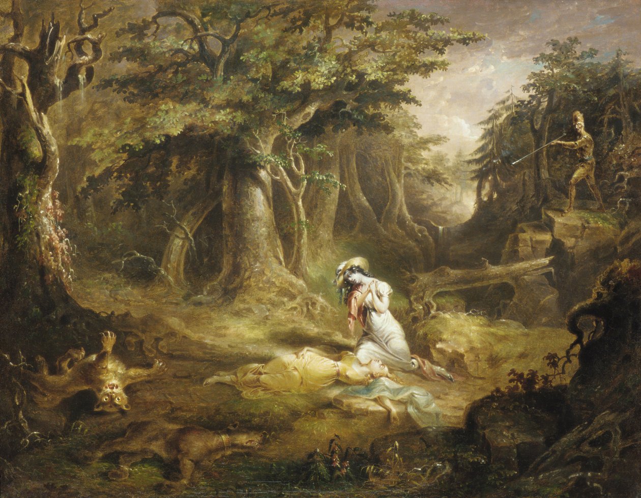 皮袜救援，1832年。 作者 约翰·基多