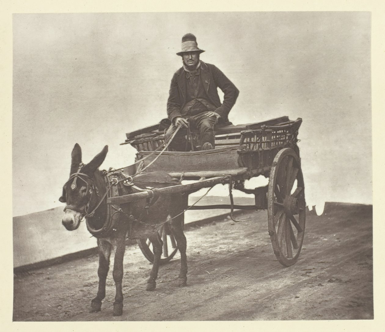 黑杰克，1881年。 作者 约翰汤姆森