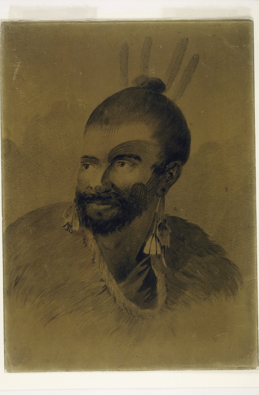 新西兰人的肖像，c.1777 作者 约翰·韦伯