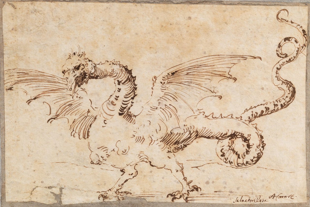 龙的研究，1620年代。 作者 何塞·里贝拉·德