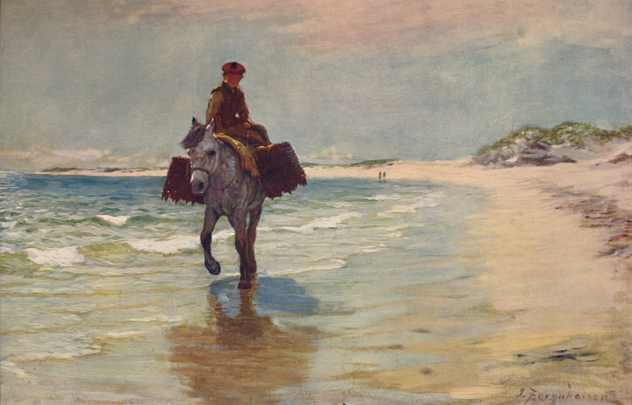 海岸，康尼马拉（Connemara），1881年。 作者 约瑟夫·法夸森