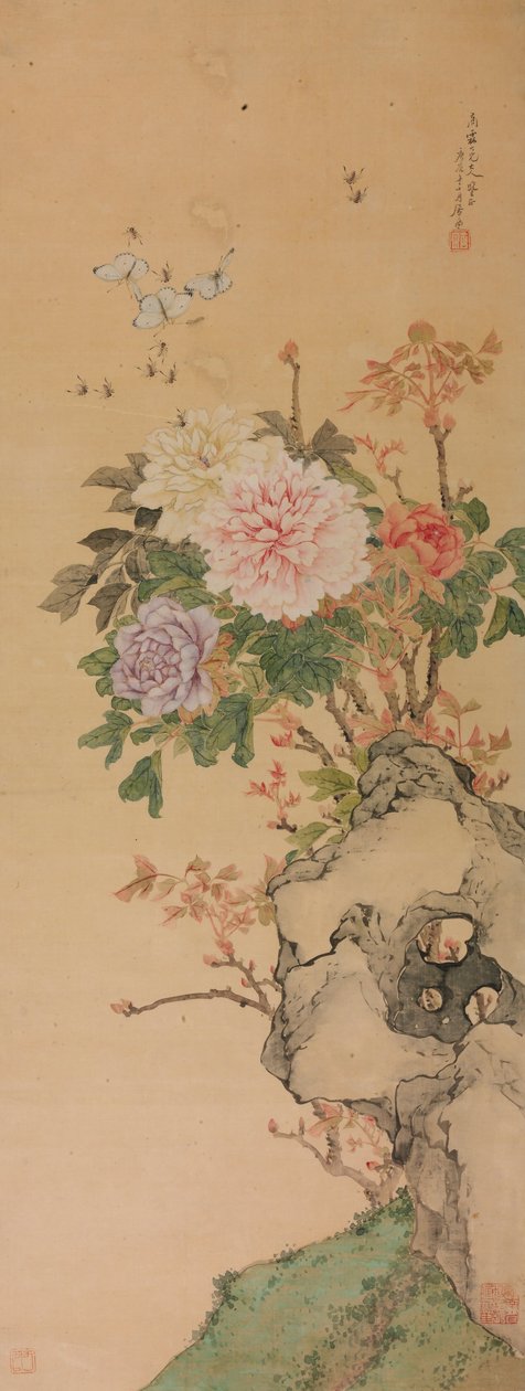 牡丹和蝴蝶 作者 菊莲