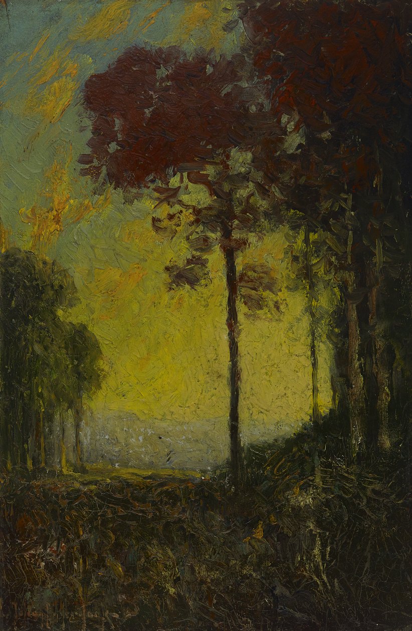 1908年的秋日落日 作者 朱利安·昂德登克（Julian Onderdonk）