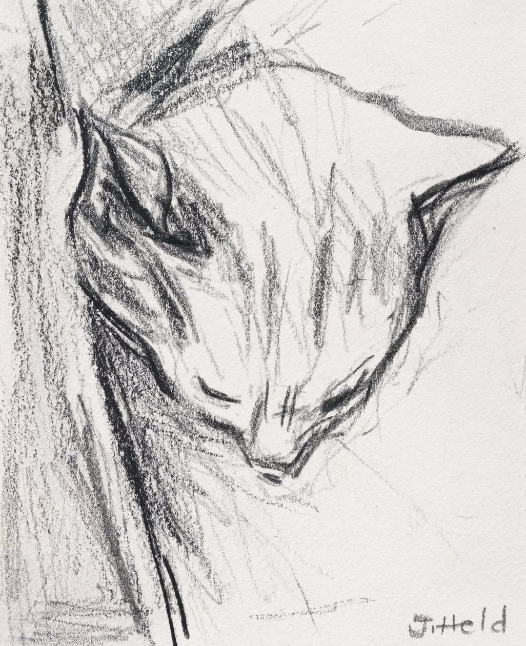 睡猫，2015年，（铅笔） 作者 朱莉英雄