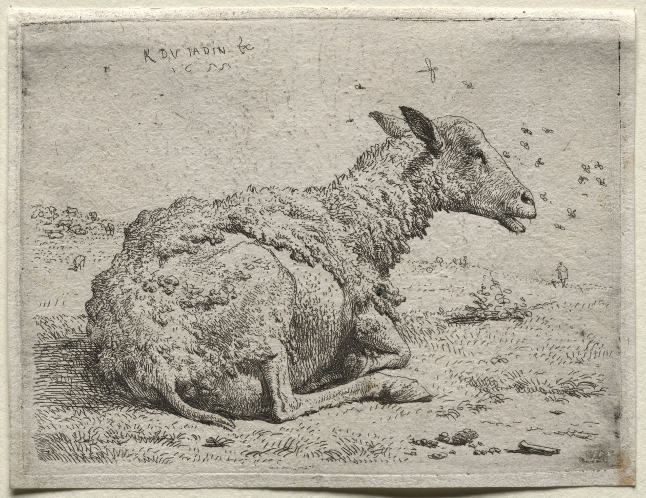 绵羊和苍蝇 作者 卡雷尔·杜哈丁（Karel Dujardin）