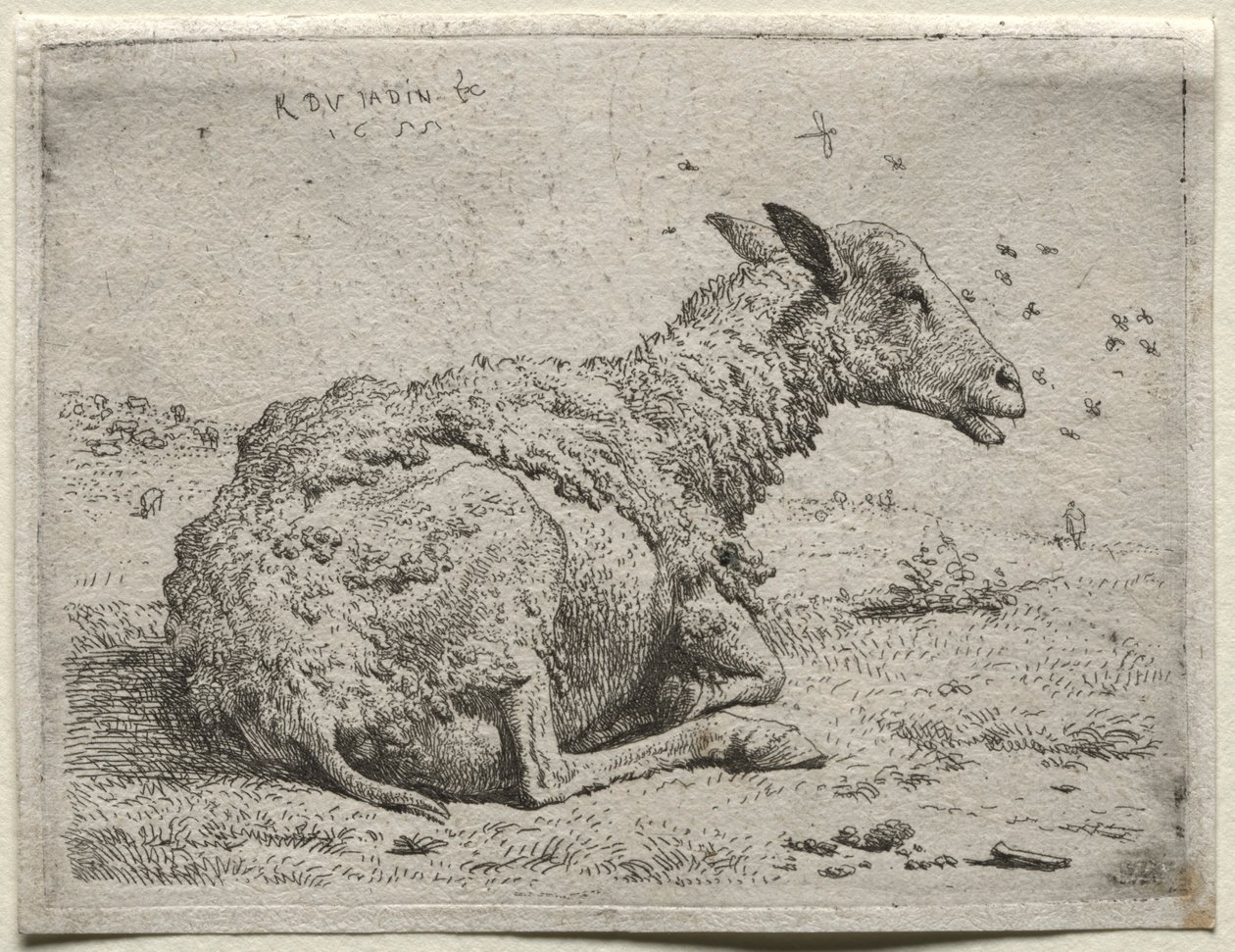 绵羊和苍蝇。 作者 卡雷尔·杜哈丁（Karel Dujardin）