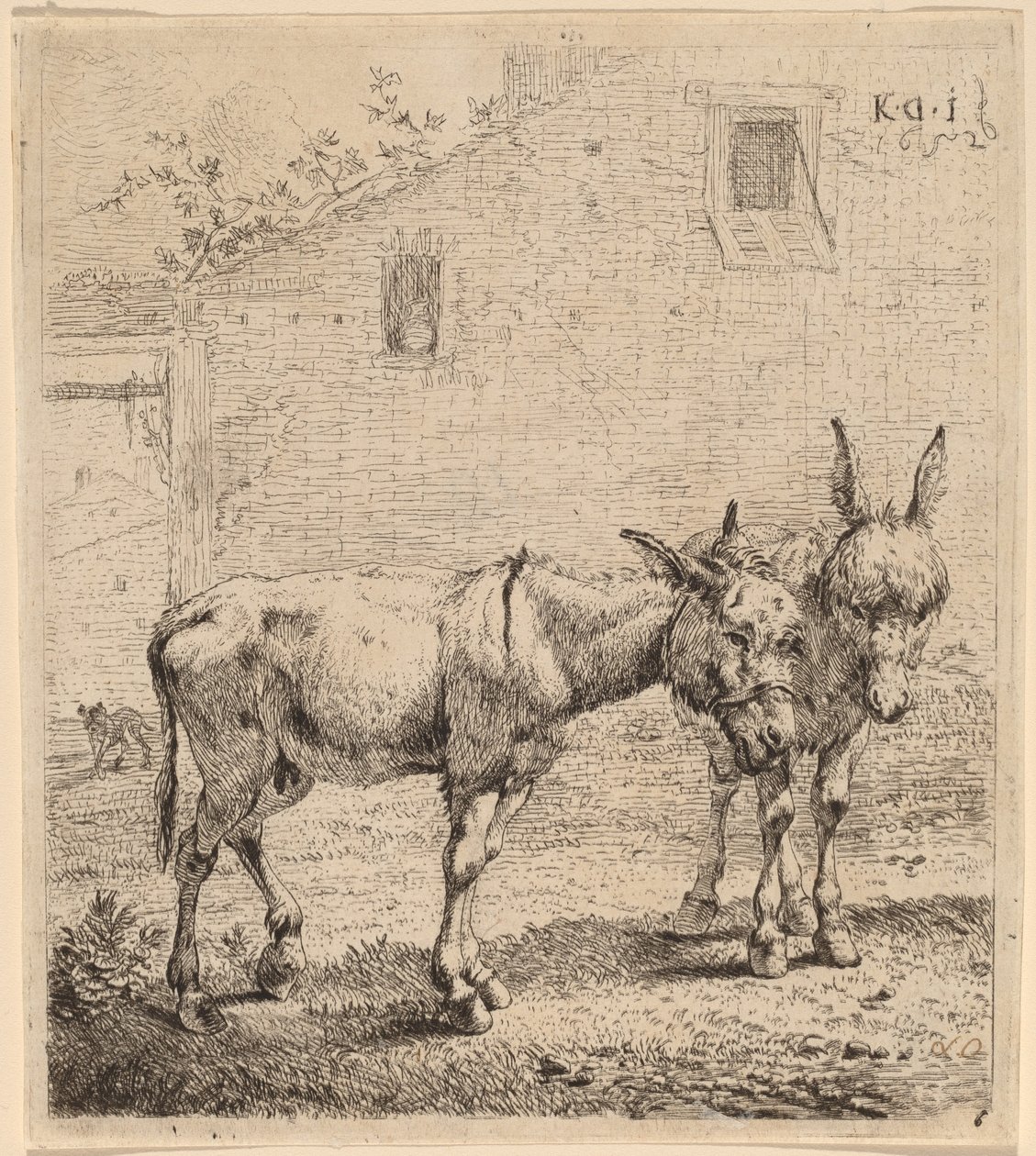 两个屁股 作者 卡雷尔·杜哈丁（Karel Dujardin）