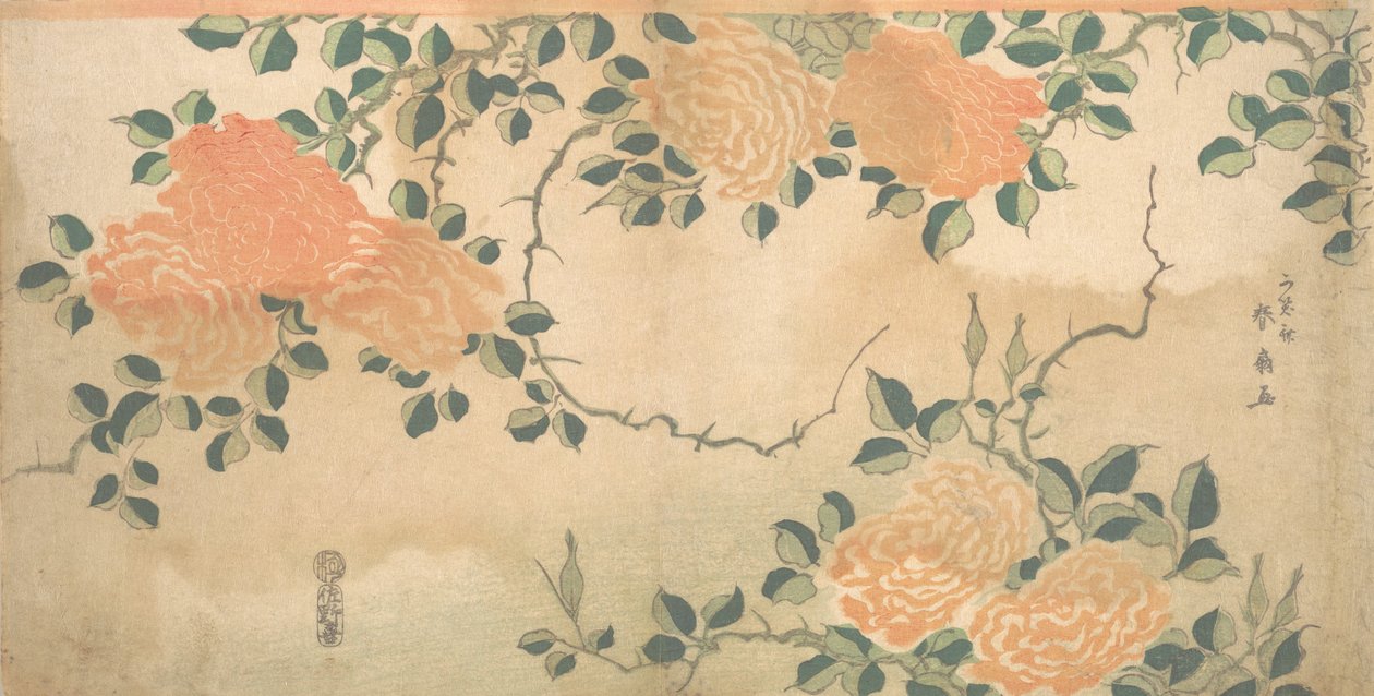 玫瑰花，约1810年。 作者 卡所斋顺仙