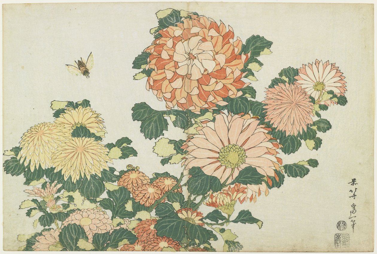 菊花和马蝇，c。 1832 作者 葛饰北斋