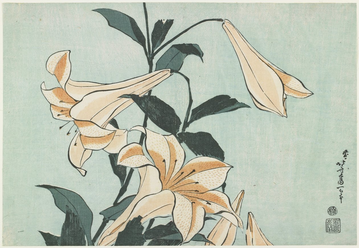 百合花，c。 1832 作者 葛饰北斋