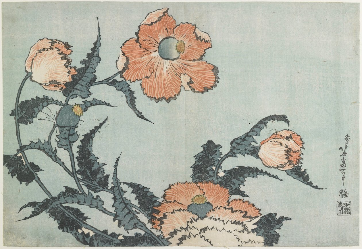 罂粟花，c。 1832 作者 葛饰北斋