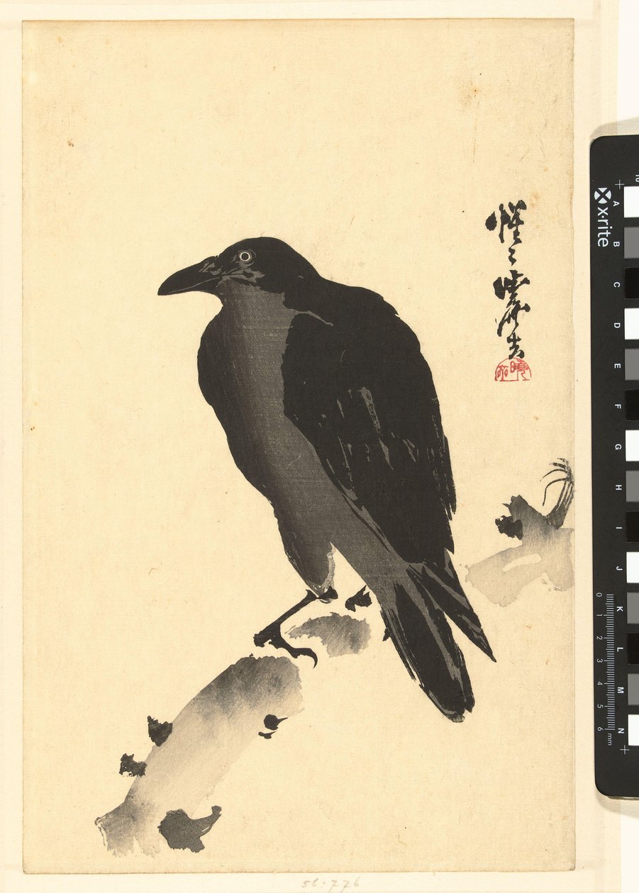 树干上的乌鸦 作者 川边京菜