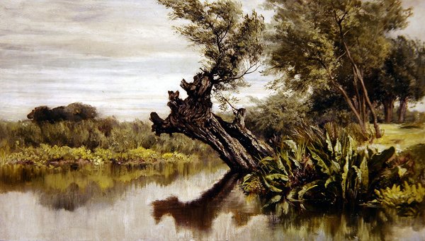 柳树》（布面油画） 作者 基利颈波