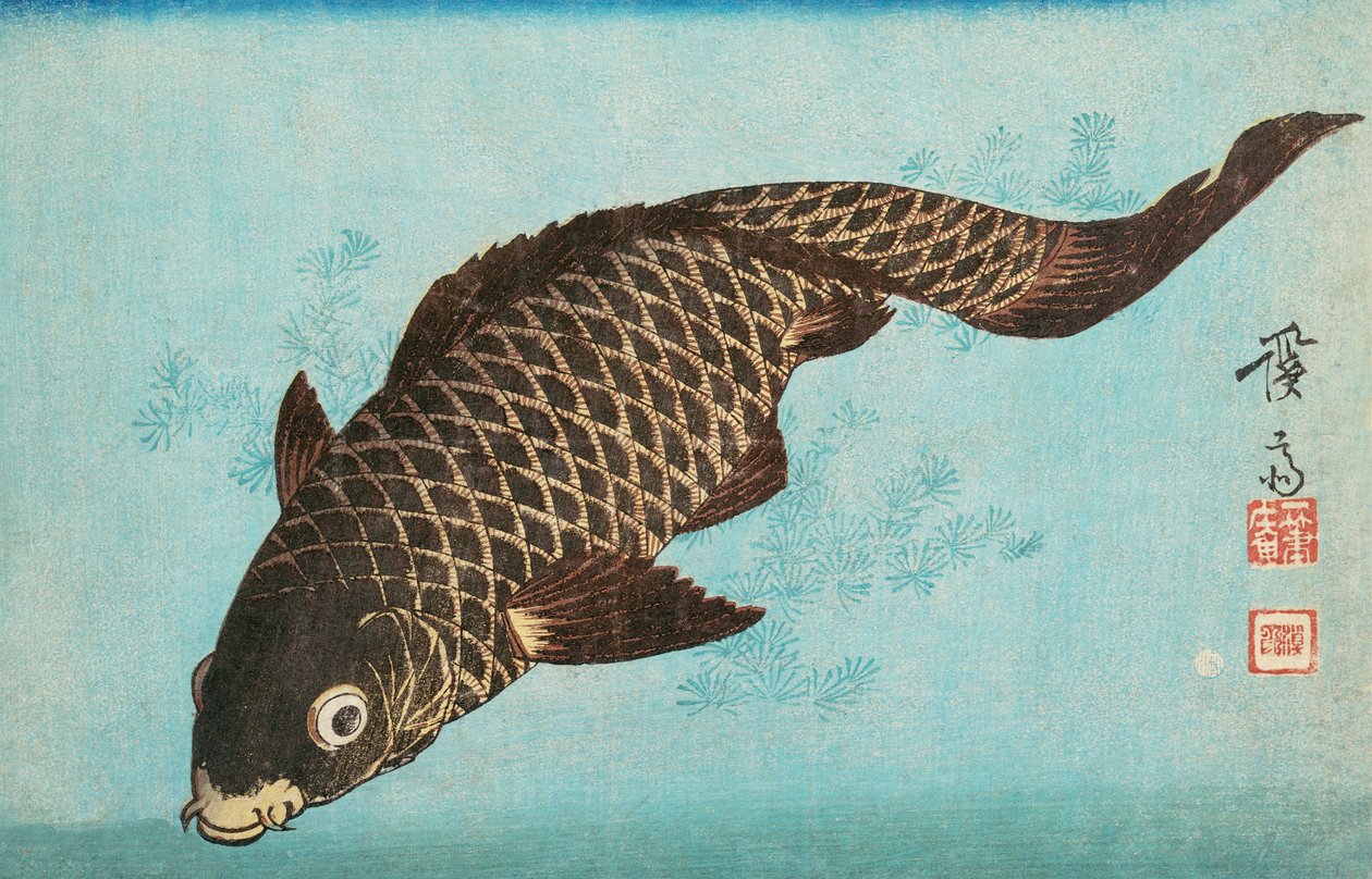 Koi，pub.1842 作者 京西铁
