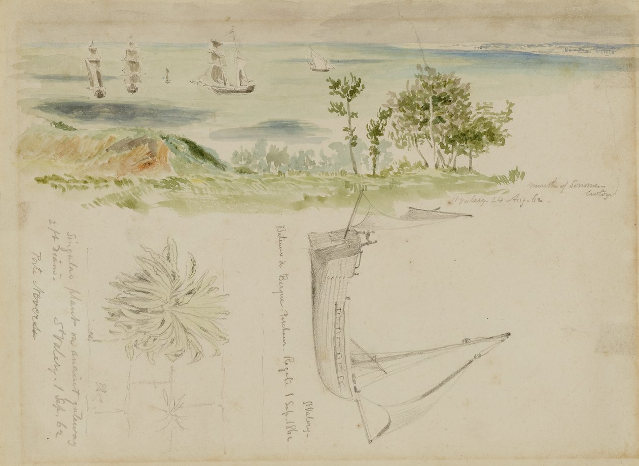 海岸风光 作者 凯洛格，迈纳·基尔伯恩