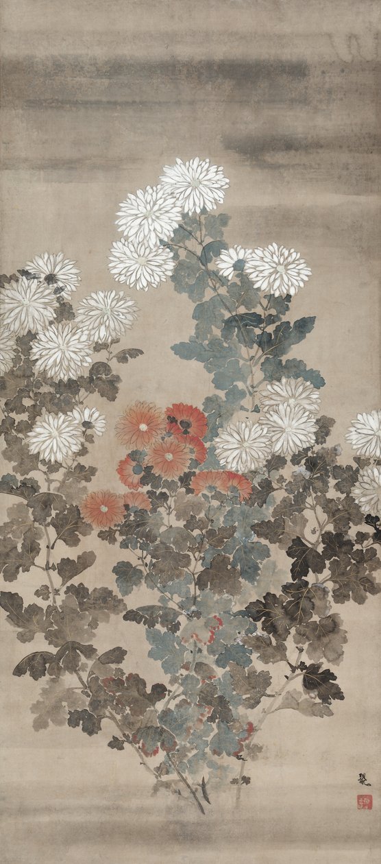 菊花 作者 北川漱雪