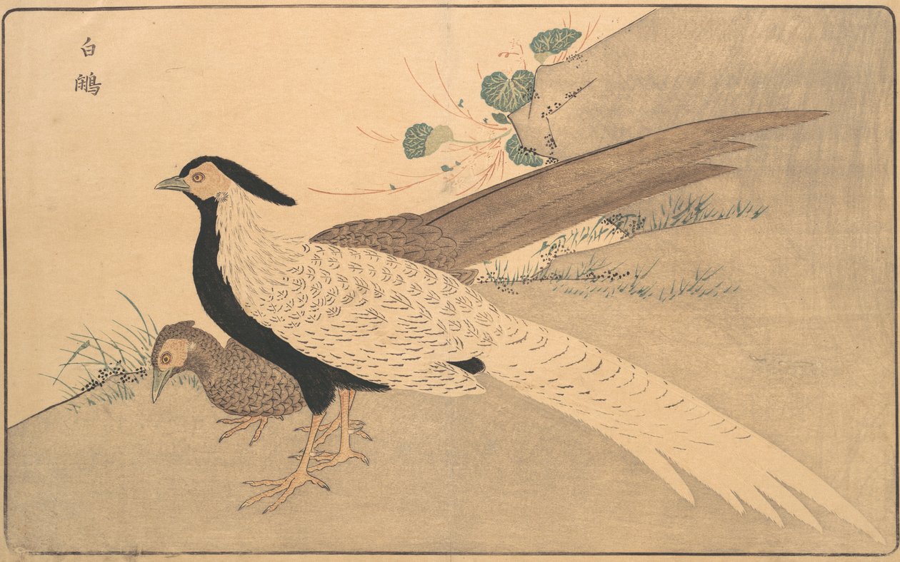 白贤，1789年。 作者 北尾正好