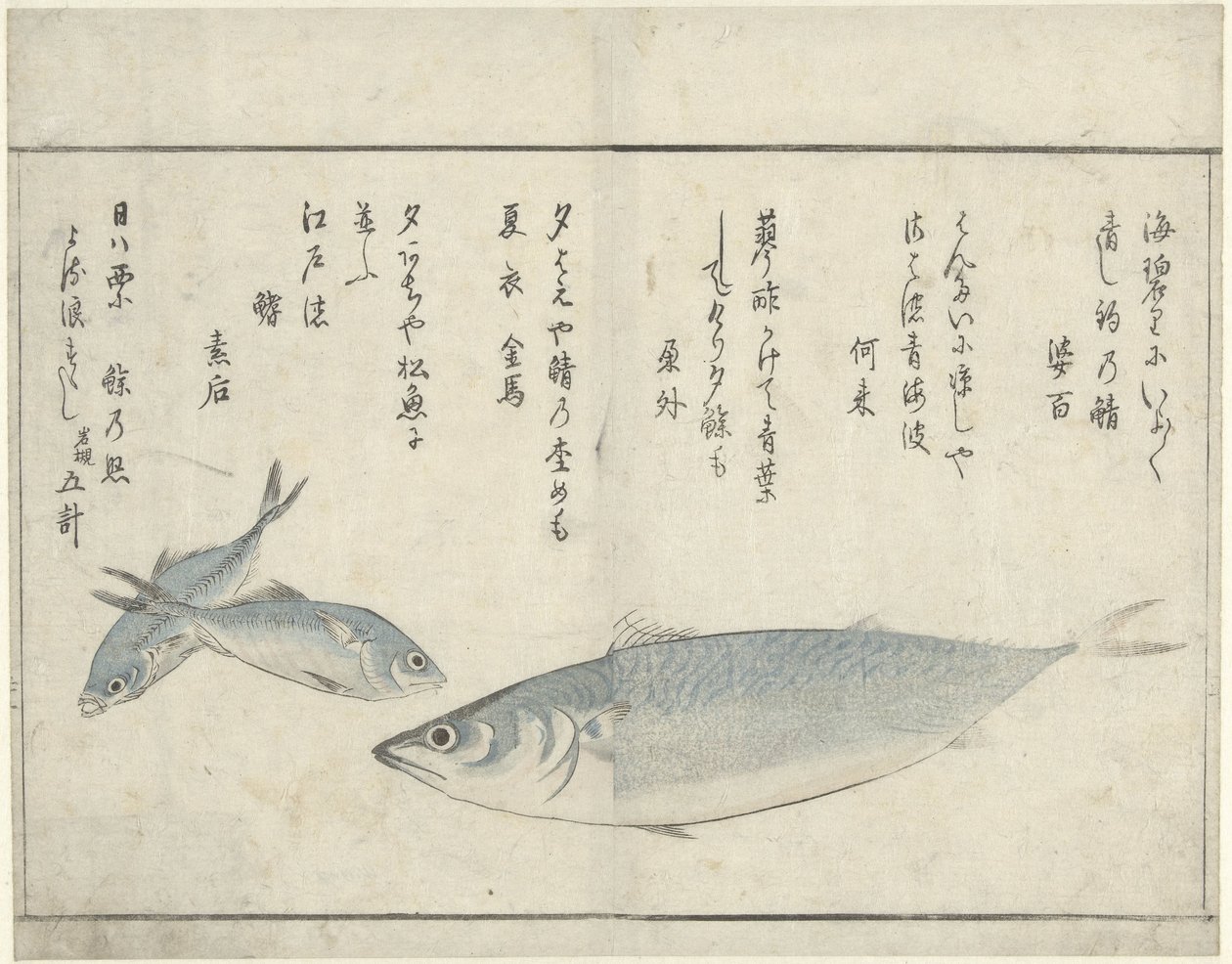三条鱼 作者 北尾正好