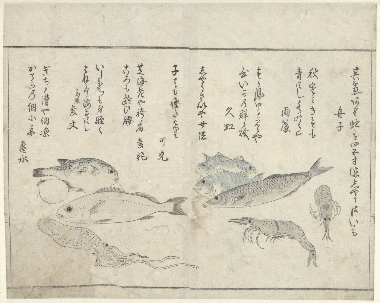 馈送 作者 北尾正好