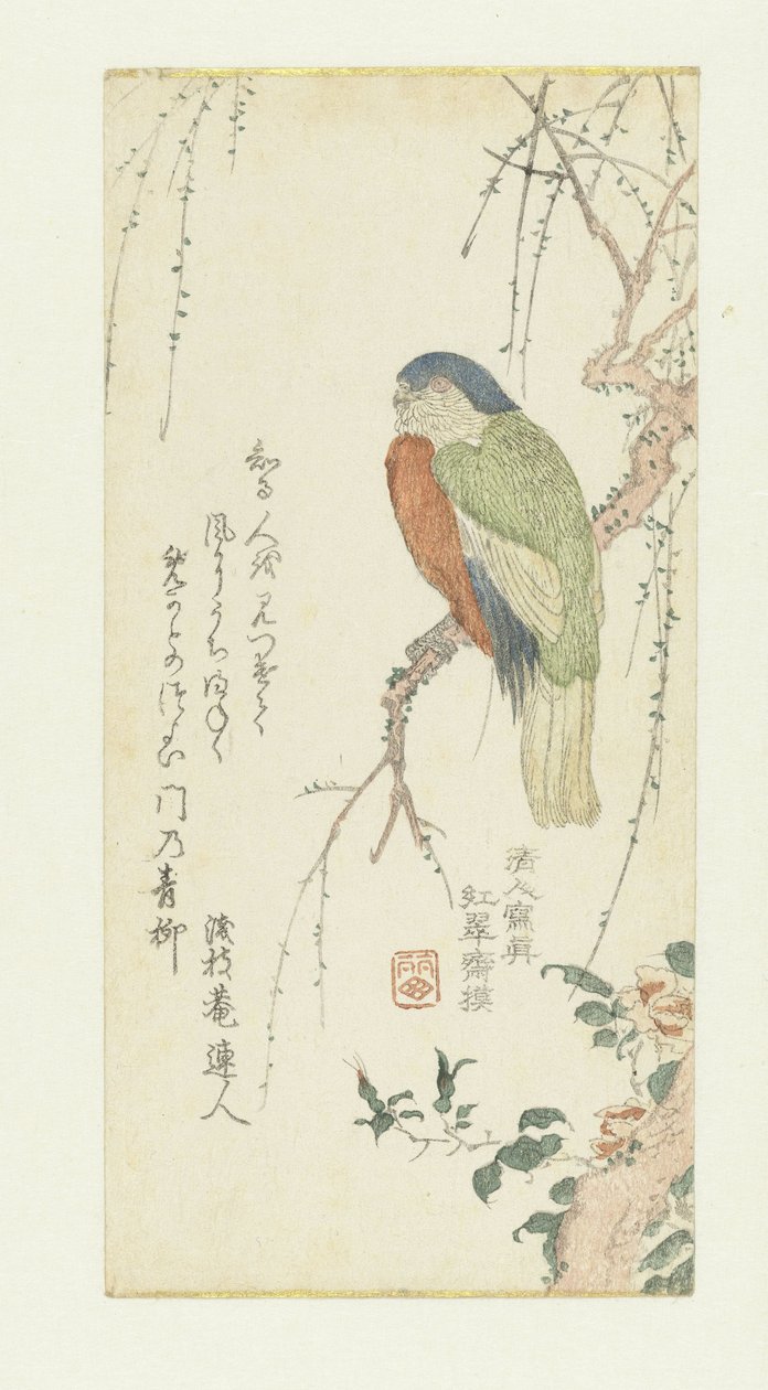 李子树上的鹦鹉 作者 北尾重正
