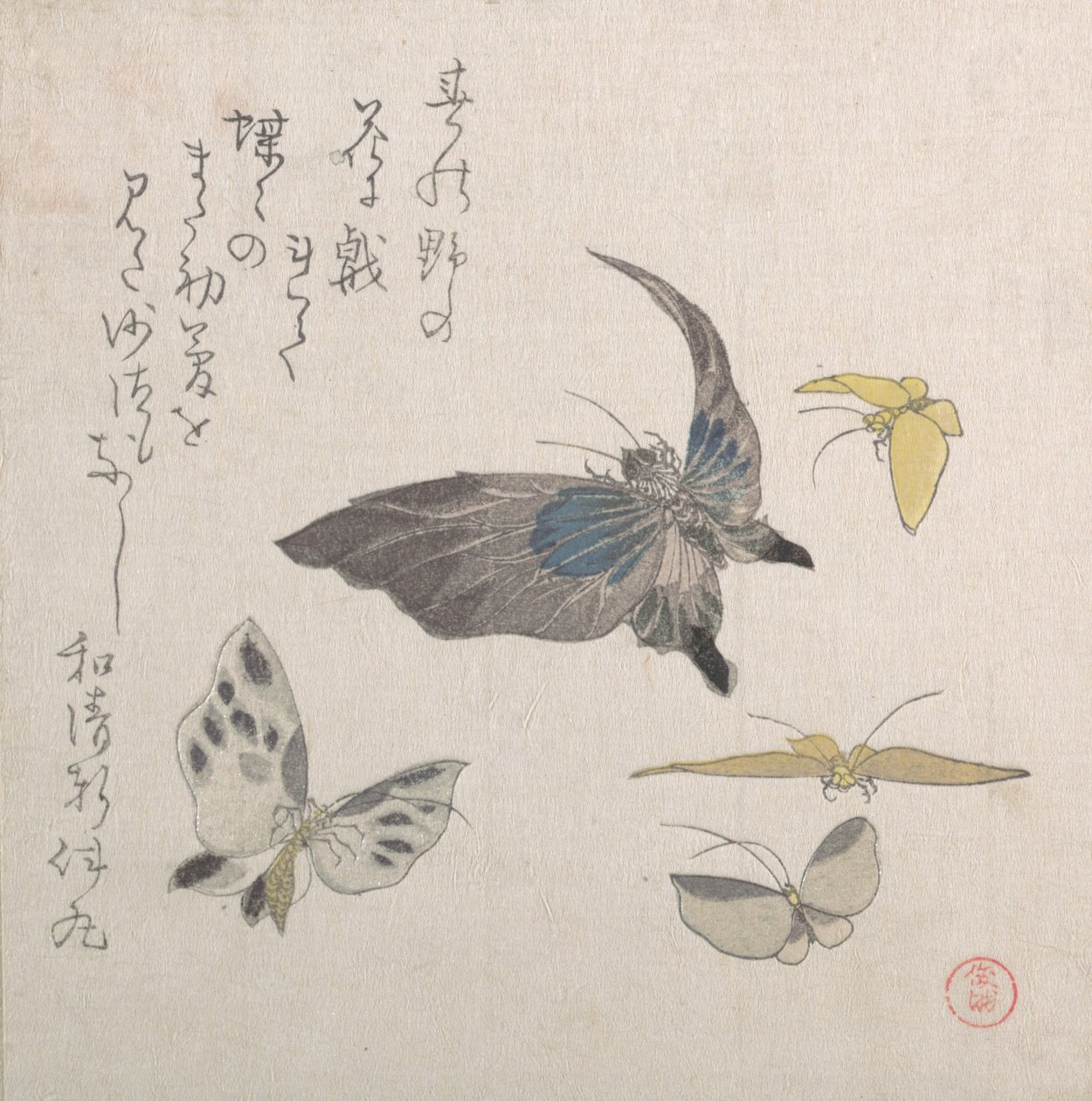 蝴蝶，19世纪。 作者 久保顺曼