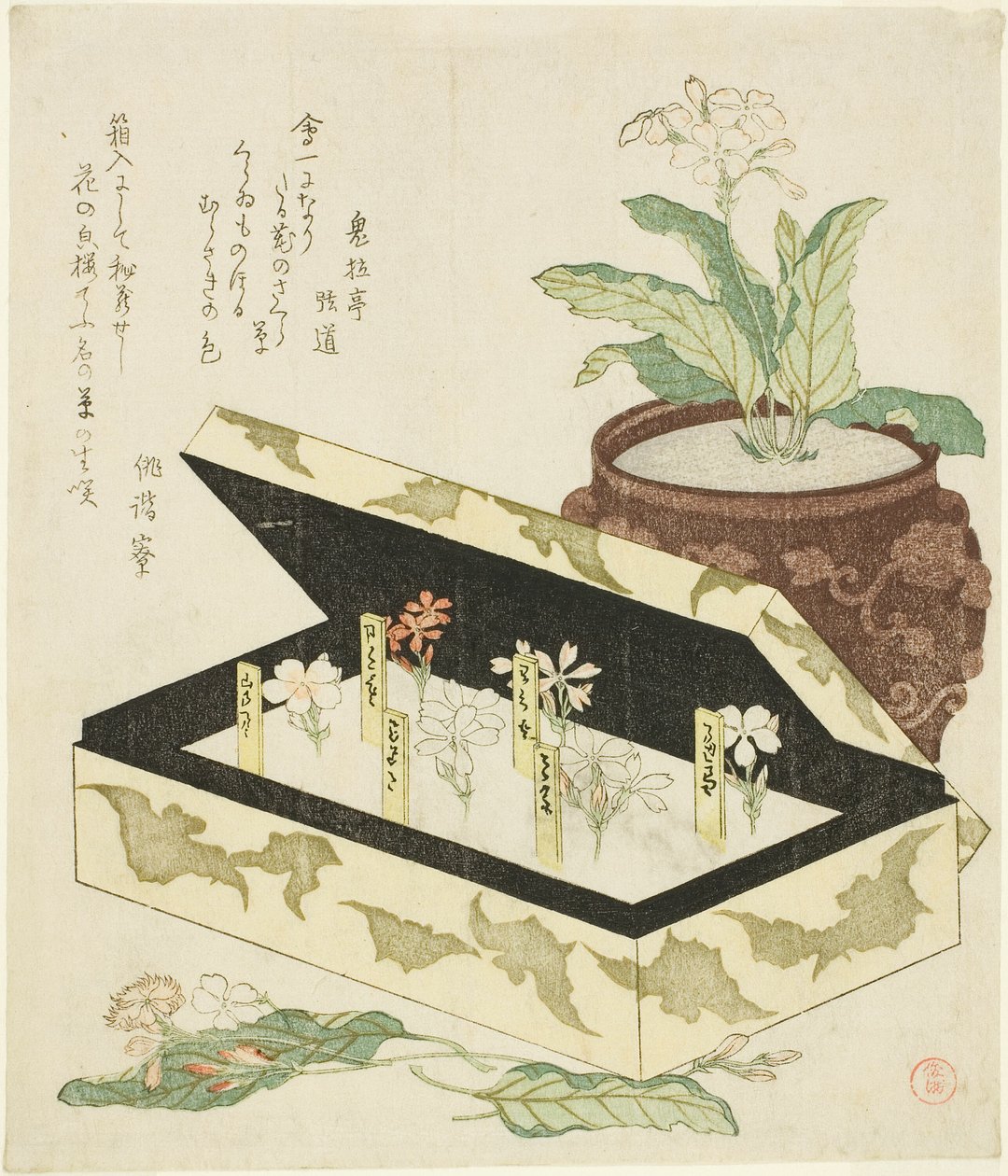 报春花 作者 久保顺曼