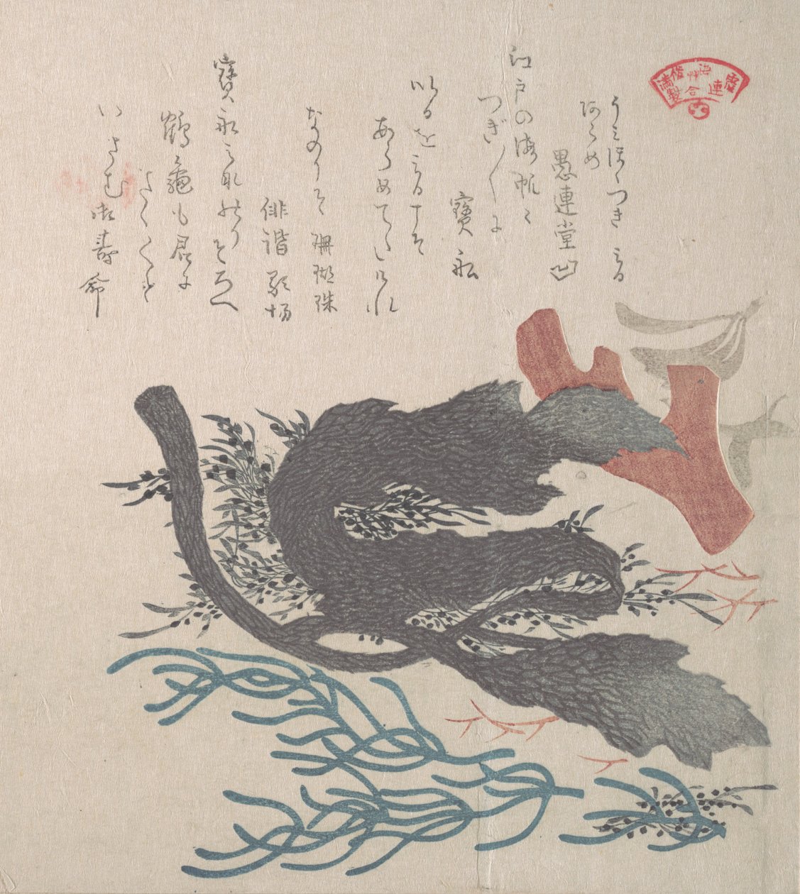 各种海藻，19世纪。 作者 久保顺曼