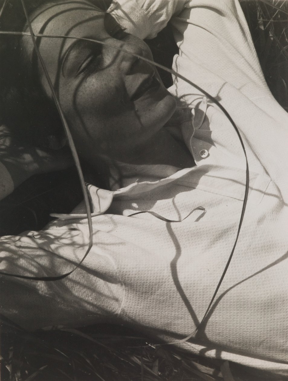 埃伦-弗兰克肖像 作者 拉斯洛·莫霍利·纳吉（Laszlo Moholy Nagy）
