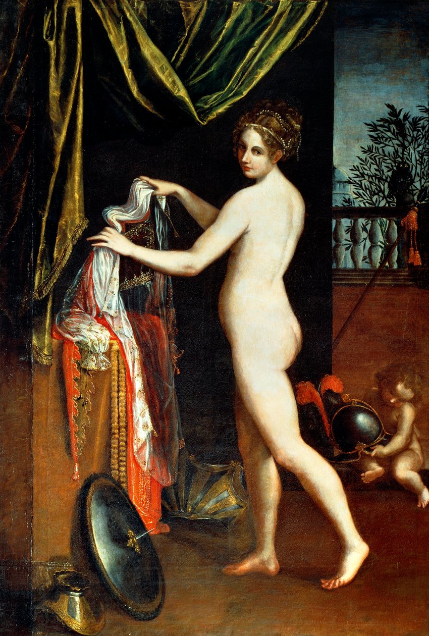 米涅瓦 作者 Lavinia Fontana