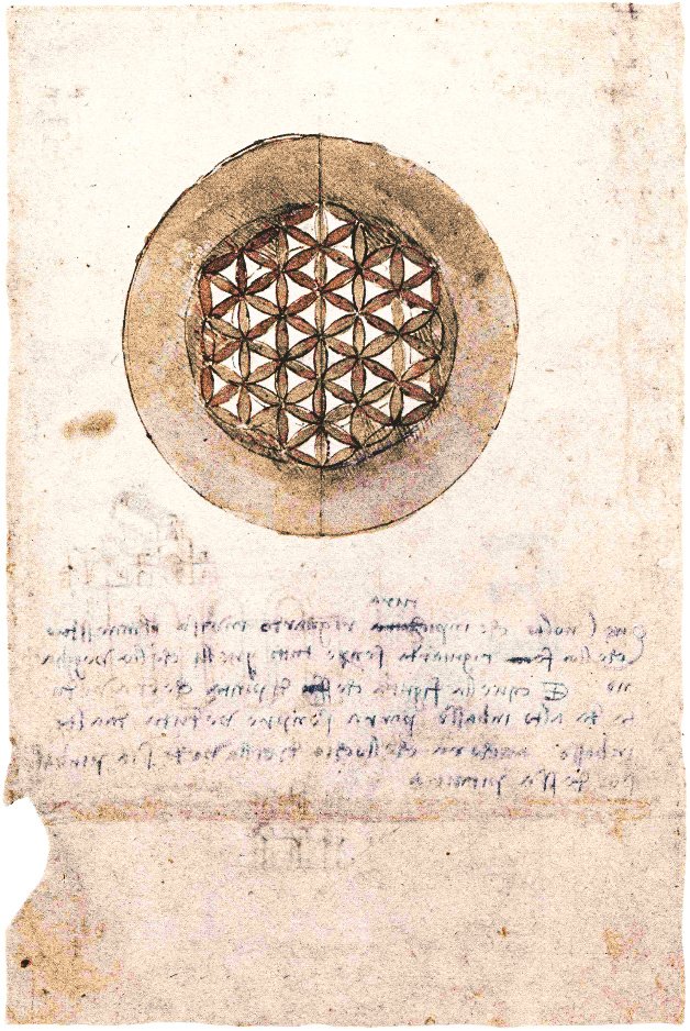 Codex Atlanticus folio 309v 作者 达芬奇（Leonardo da Vinci）