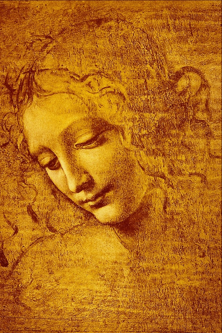 一个女孩的头叫La ... 作者 达芬奇（Leonardo da Vinci）