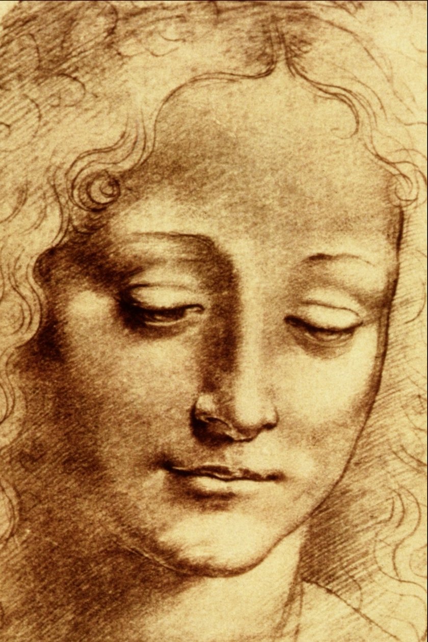年轻女孩的头 作者 达芬奇（Leonardo da Vinci）