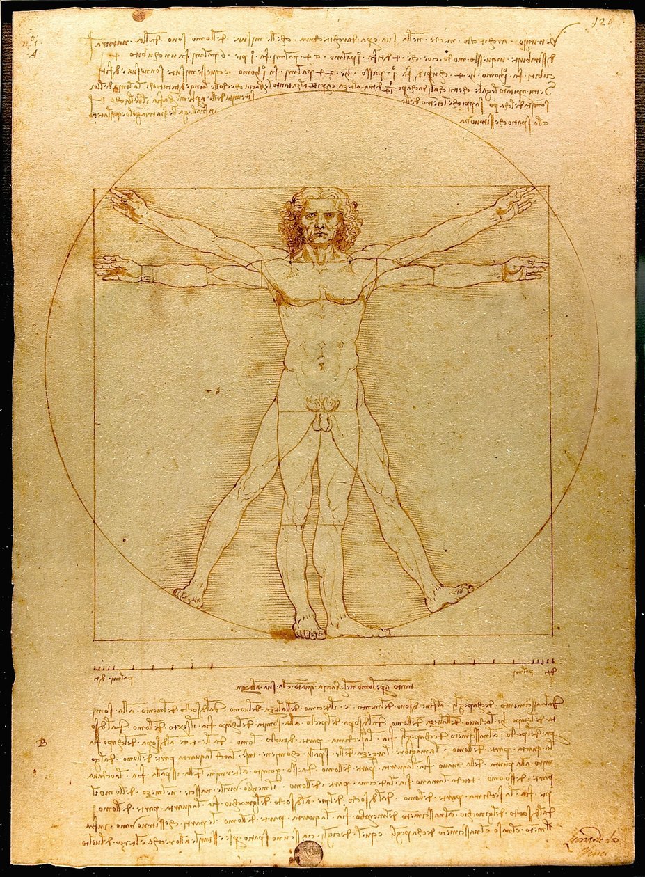 Vitruvian Luc Viatour 作者 达芬奇（Leonardo da Vinci）