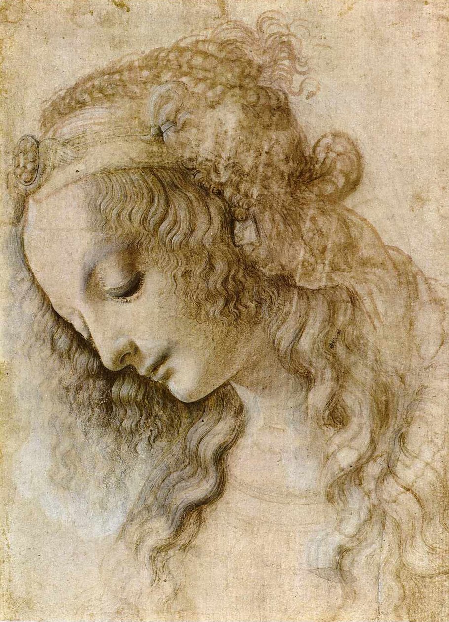 女性头在配置文件中 作者 达芬奇（Leonardo da Vinci）