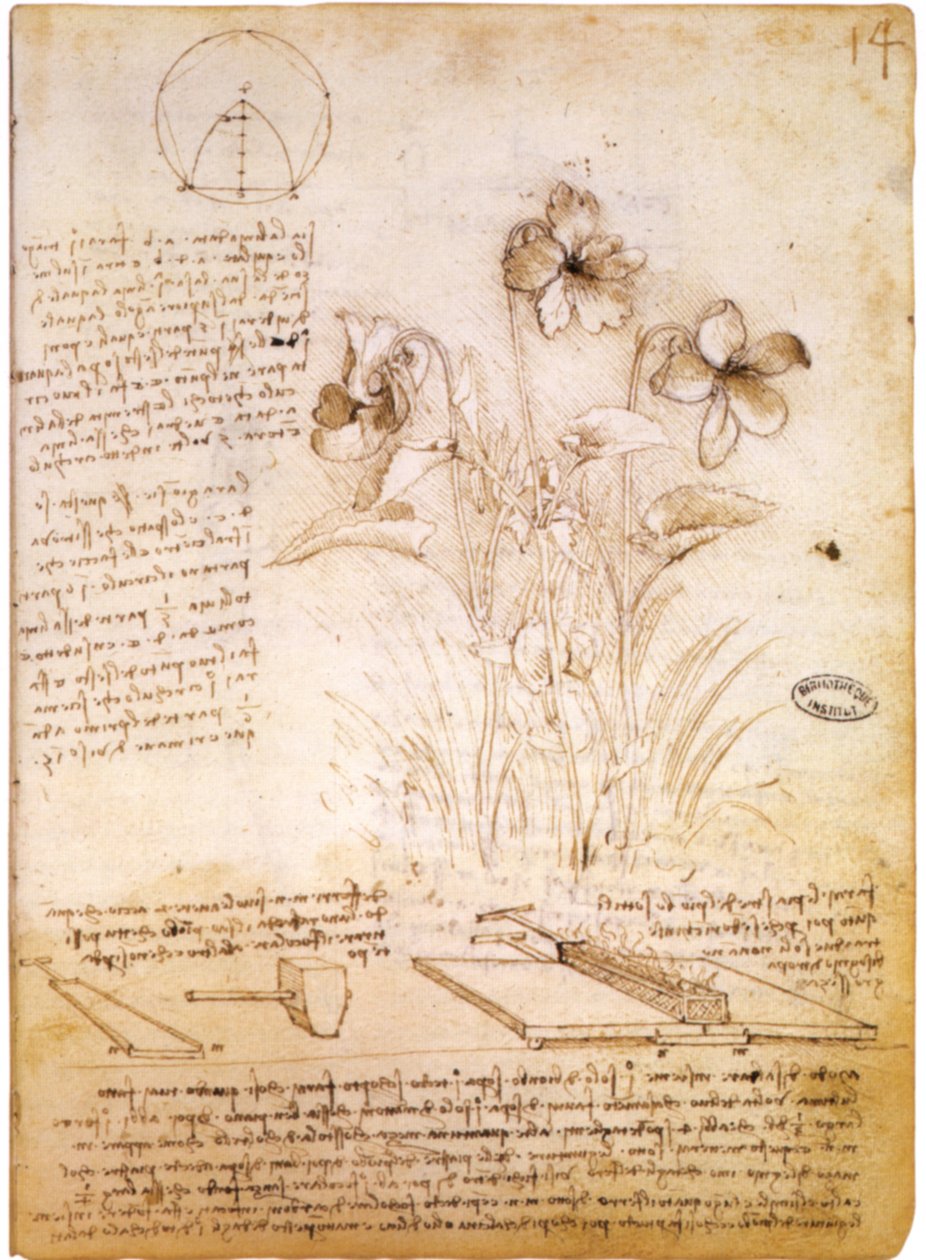 几何图形和植物绘图 作者 达芬奇（Leonardo da Vinci）