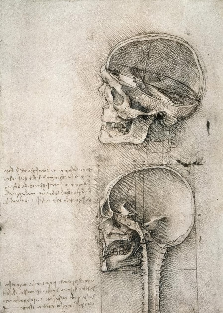 常识 作者 达芬奇（Leonardo da Vinci）