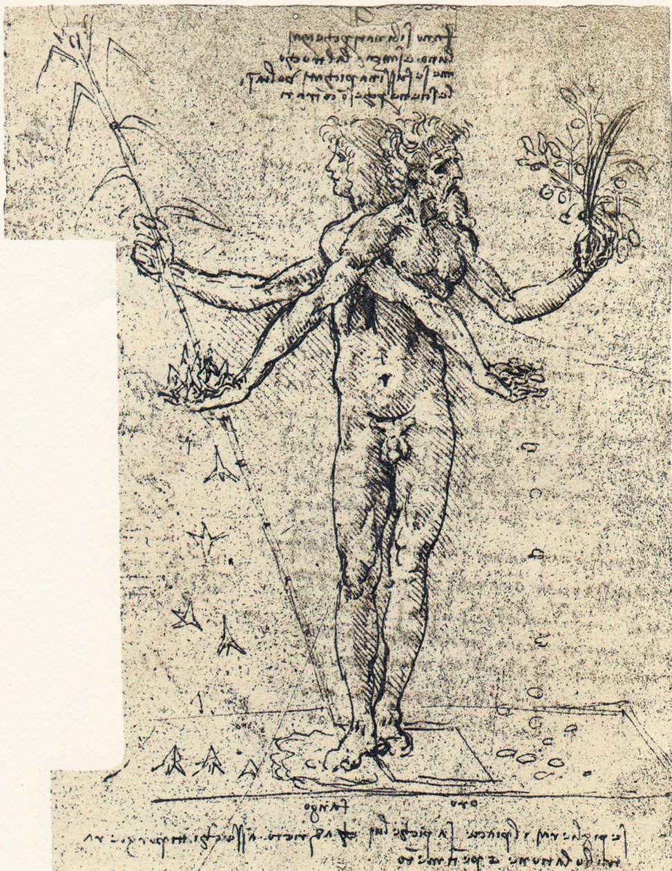 两个头的雄性语料库未知图 作者 达芬奇（Leonardo da Vinci）