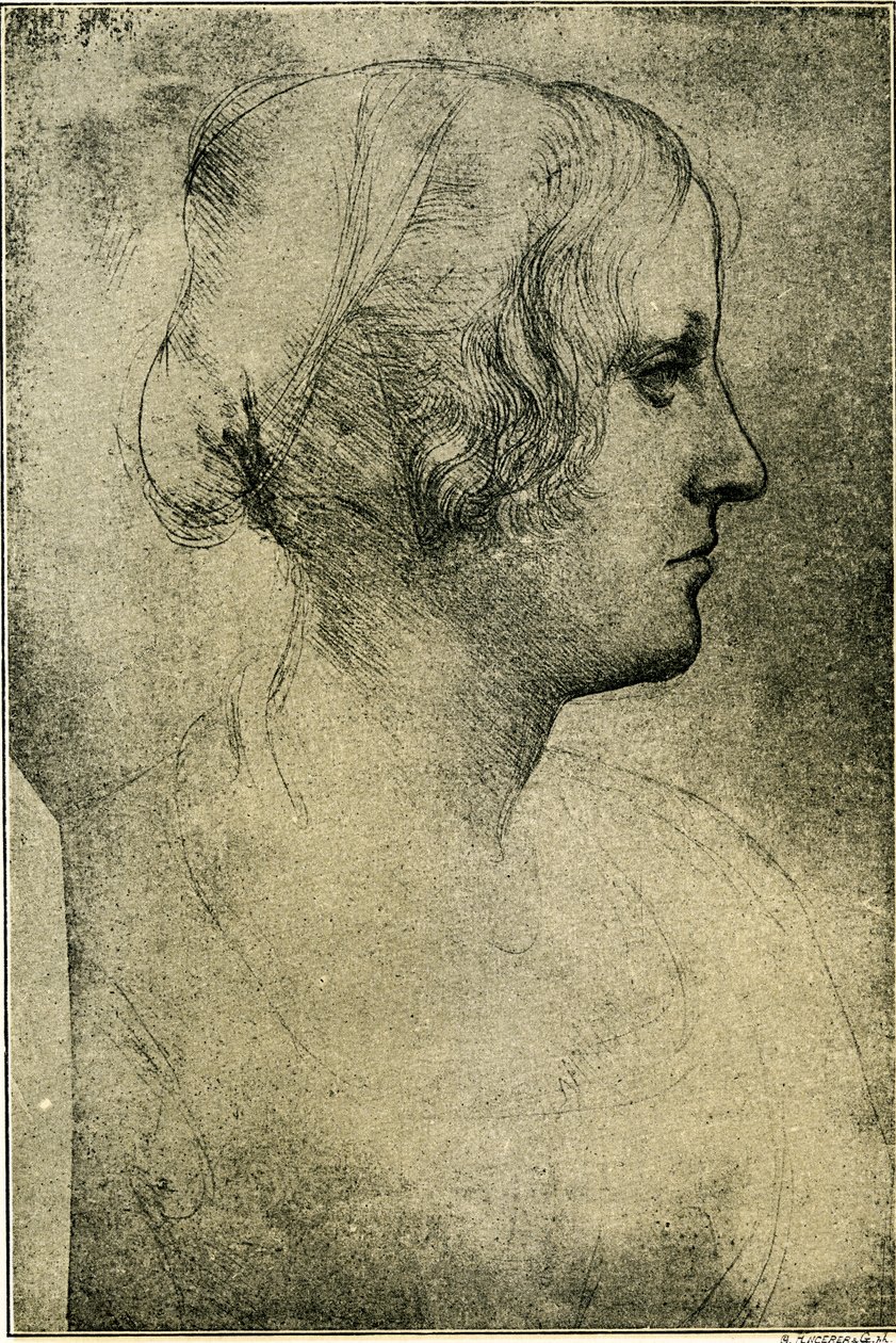 女性头部 作者 达芬奇（Leonardo da Vinci）