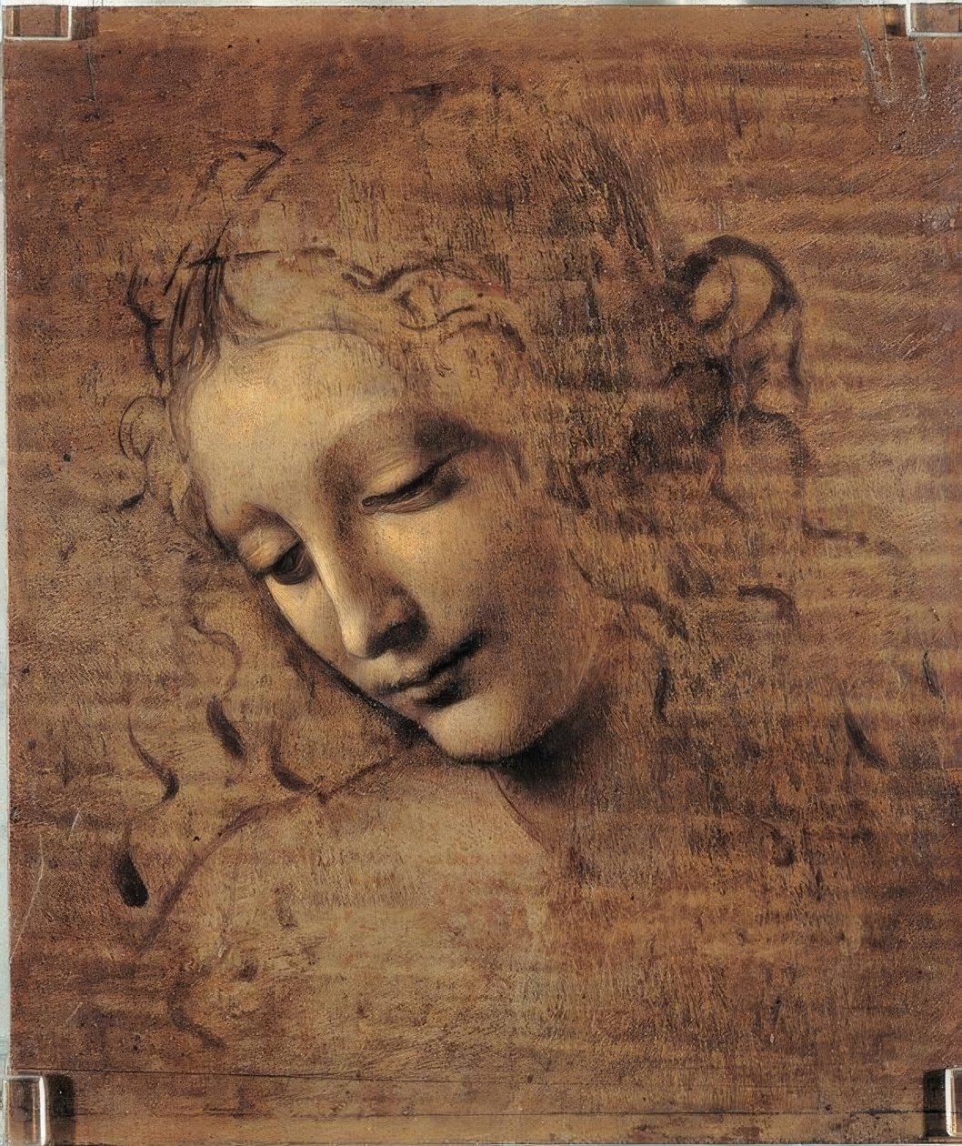女人的头 作者 达芬奇（Leonardo da Vinci）