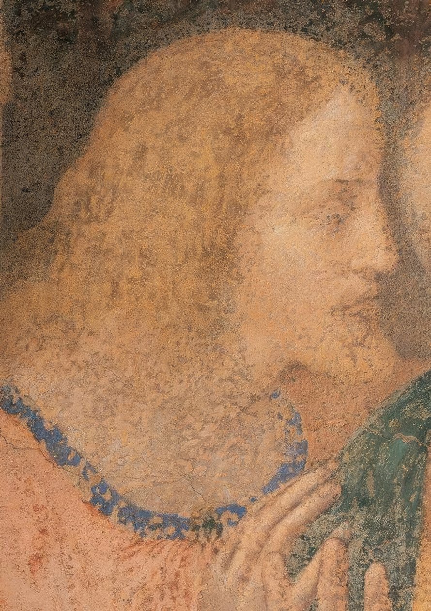 詹姆斯·米诺 作者 达芬奇（Leonardo da Vinci）
