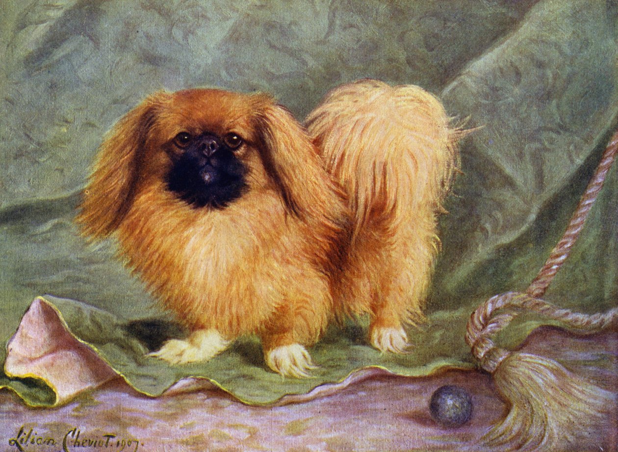 Alderbourne的Pekinese，Champion Chu-erh 作者 莉莲·雪维（Lilian Cheviot）