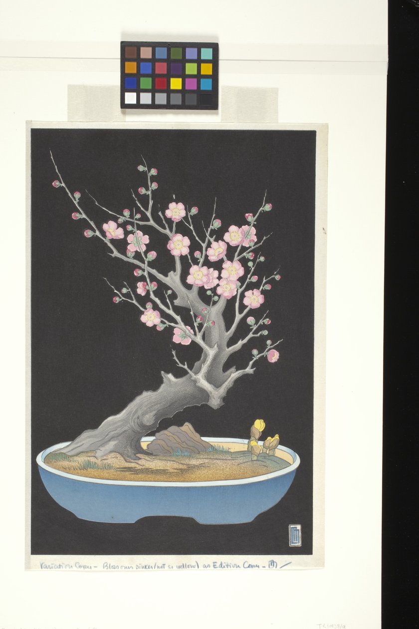 日本矮梅（彩色木刻版画） 作者 莉莲·梅·米勒